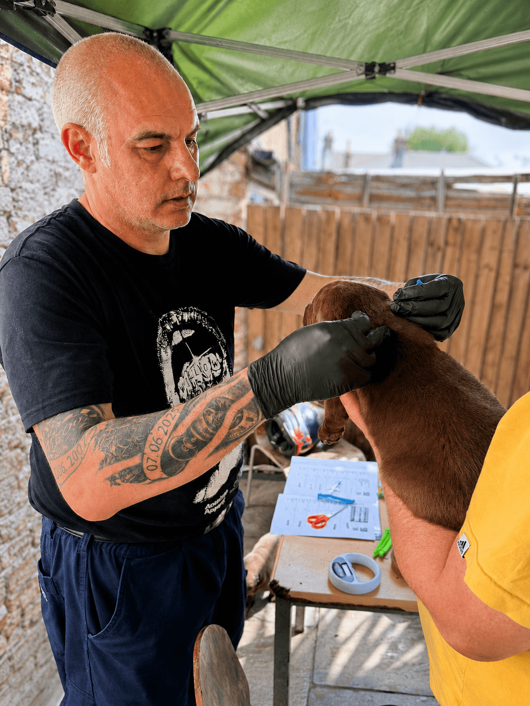 Tony carrying out a mobile puppy microchipping appointment with paperwork and tools prepared